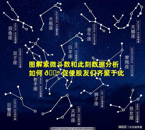 图解紫微斗数和此刻数据分析如何 🌺 促使股友们齐聚于此